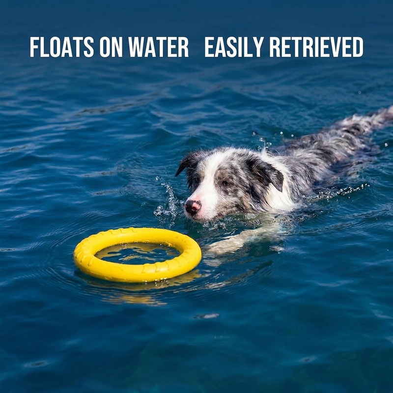Flying Disc Dog Training Toy - Brinquedos para Cães: Discos Voadores de