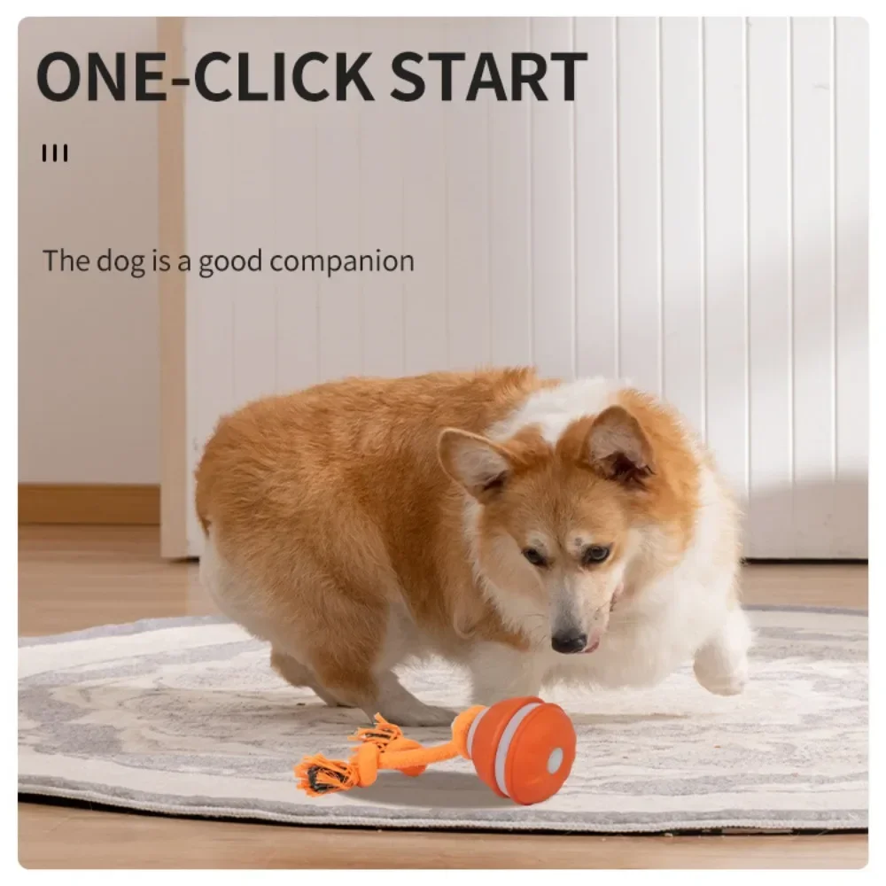 Bola para cães, brinquedo inte - Automatic Moving Dog Ball avaliação e preço