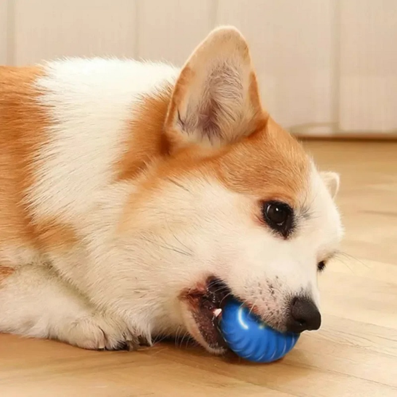 Bola de Brinquedo para Cães co - Indestructible Dog Chew Toy avaliação e preço