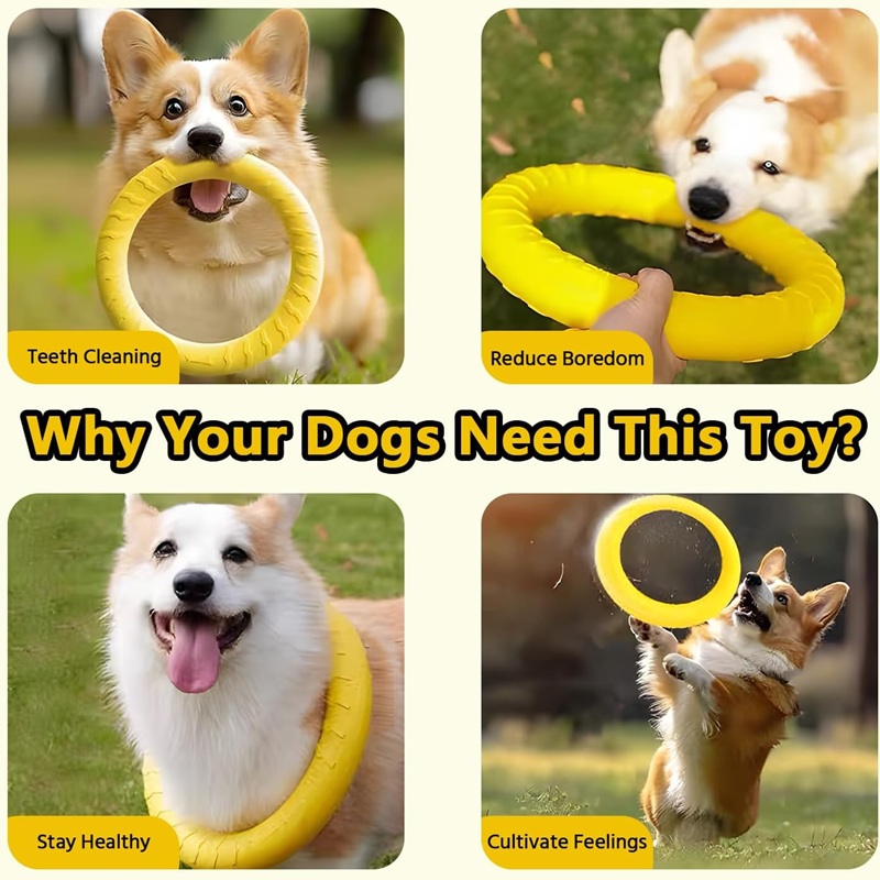 Brinquedos para Cães: Discos V - Flying Disc Dog Training Toy avaliação e preço