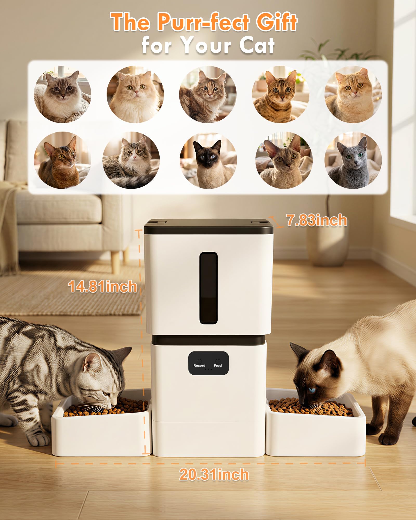 Dispensador Automático de Raçã - Pet Feeders avaliação e preço
