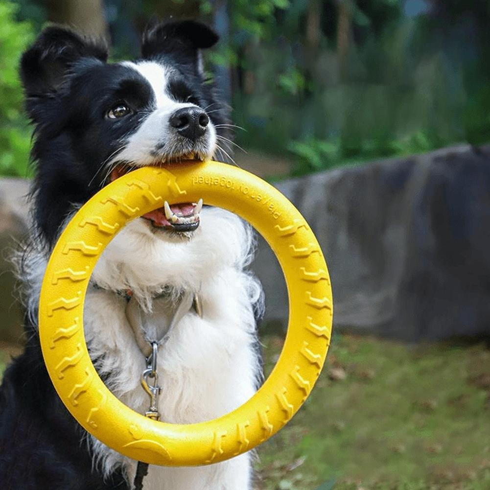 Brinquedos de Anel para Cães I - Indestructible Dog Chew Toy avaliação e preço